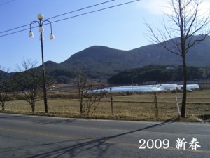 2009新春.jpg